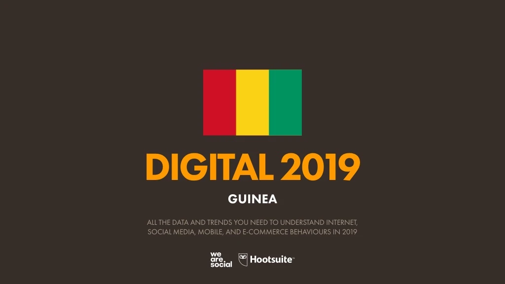 digital 2019 guinea