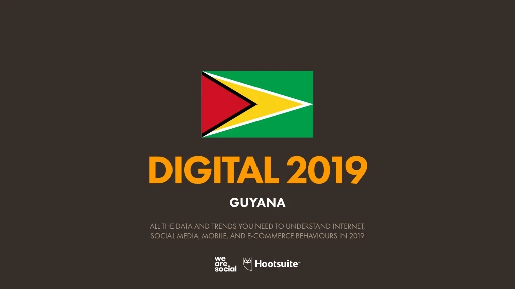 digital 2019 guyana