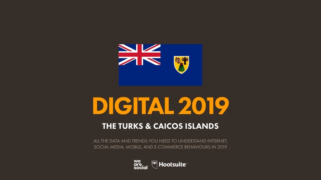 digital 2019 the turks caicos islands