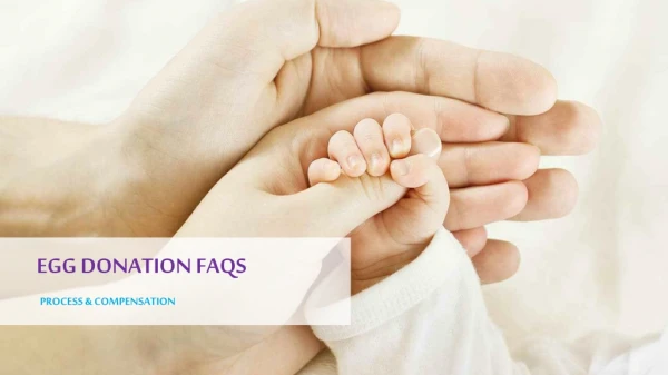 Egg Donation FAQs- Physician's Surrogacy