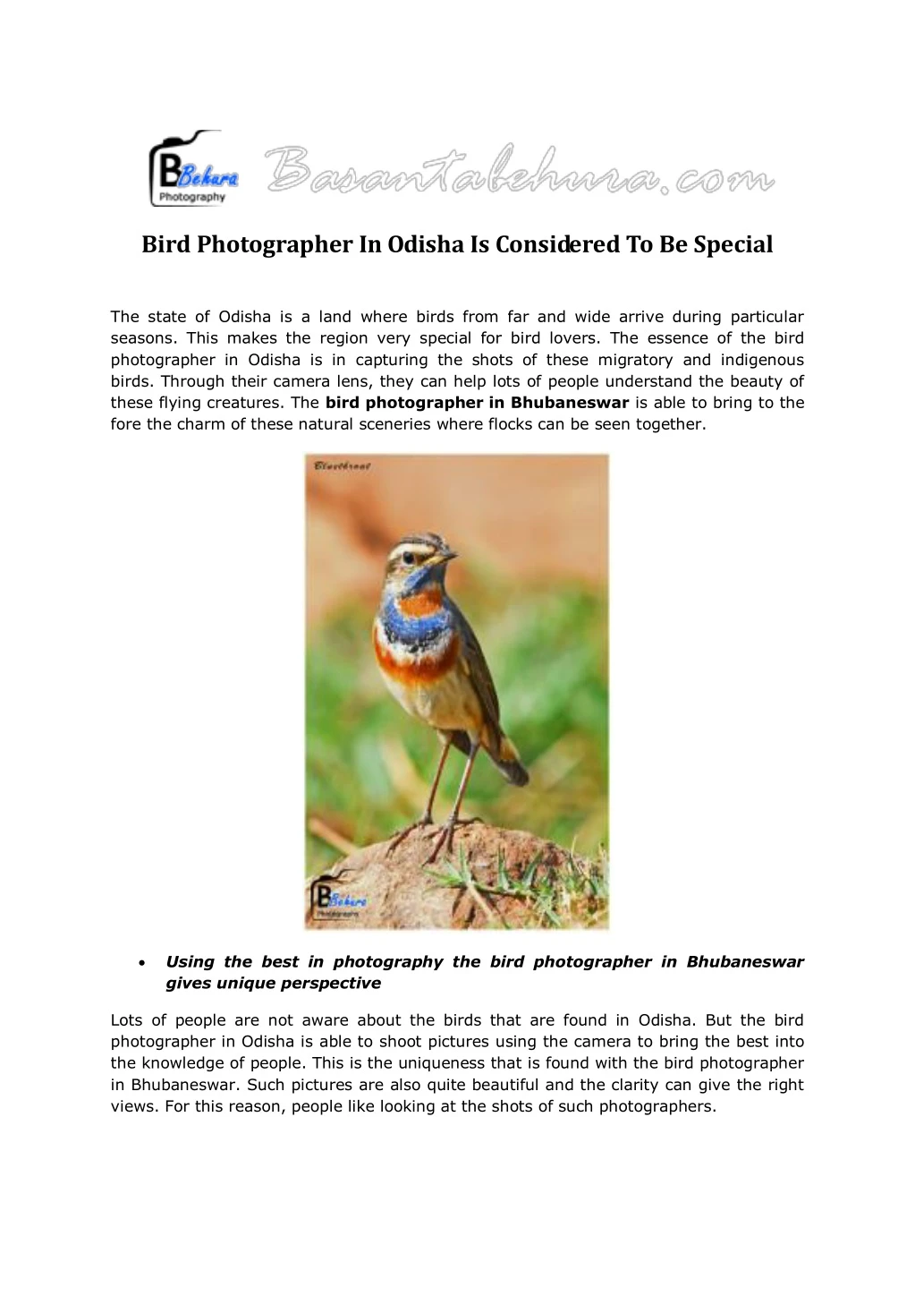bird photographer in odisha is considered