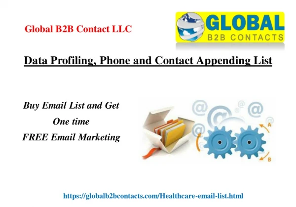 global b2b contact llc