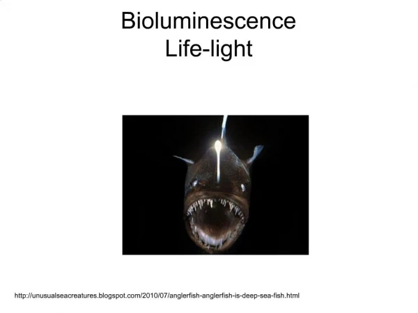 Bioluminescence Life-light