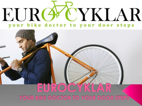EuroCyklar - your Bike Doctor to your door steps
