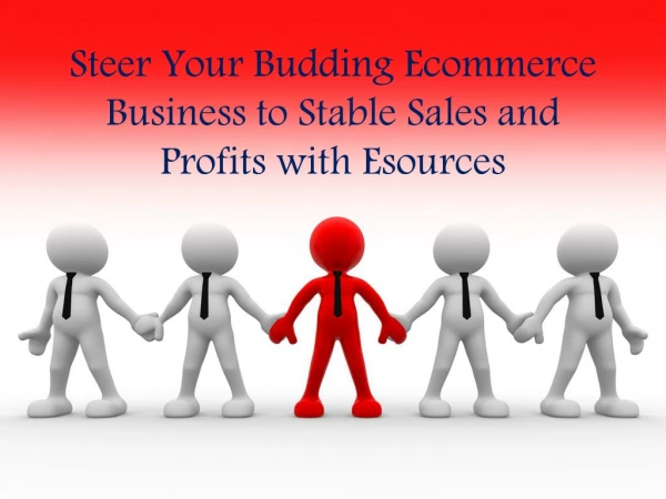 Steer Your Budding Ecommerce Business to Stable Sales and Profits with Esources