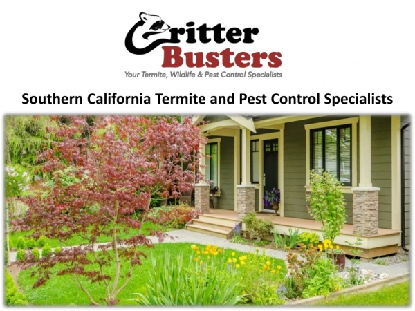 Southern California Termite and Pest Control Specialists