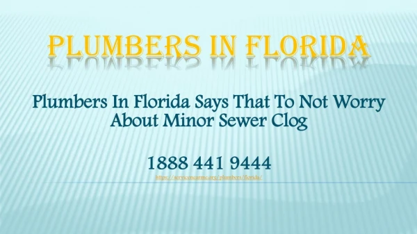 Plumbers In Florida Says That To Not Worry About Minor Sewer Clog