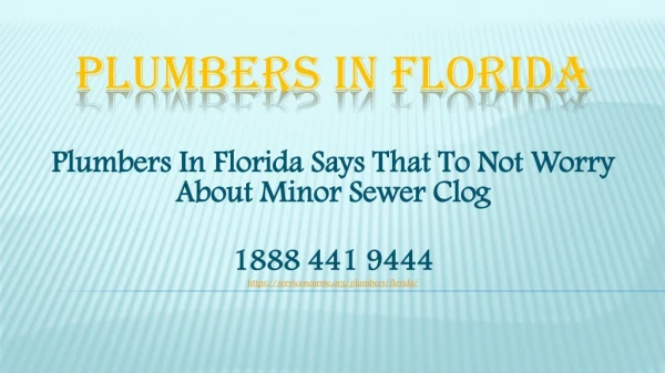 plumbers in florida