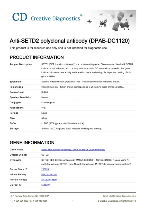 setd2 antibody