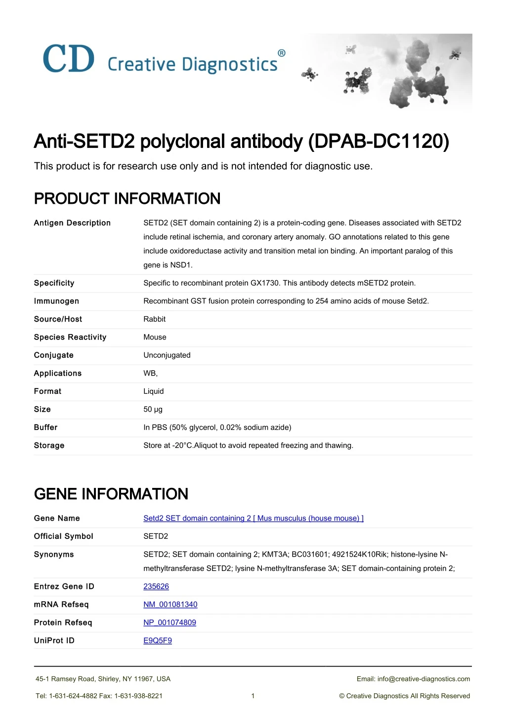 anti setd2 polyclonal antibody dpab dc1120 anti