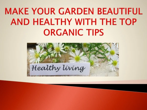 Organic Gardening Tips and Hacks - Organic 4 Greenlivings