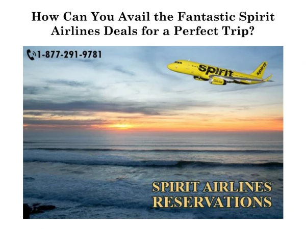 How Can You Avail the Fantastic Spirit Airlines Deals for a Perfect Trip?
