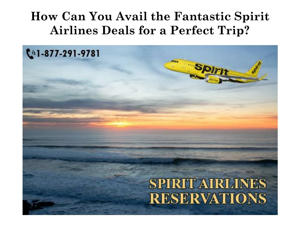 how can you avail the fantastic spirit airlines deals for a perfect trip