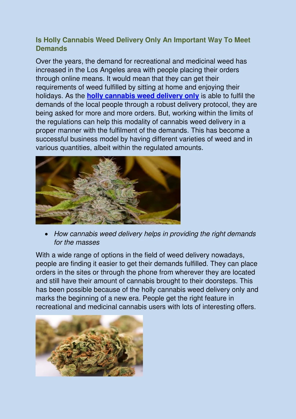 is holly cannabis weed delivery only an important