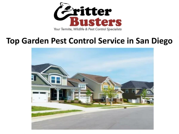 Top Garden Pest Control Service in San Diego