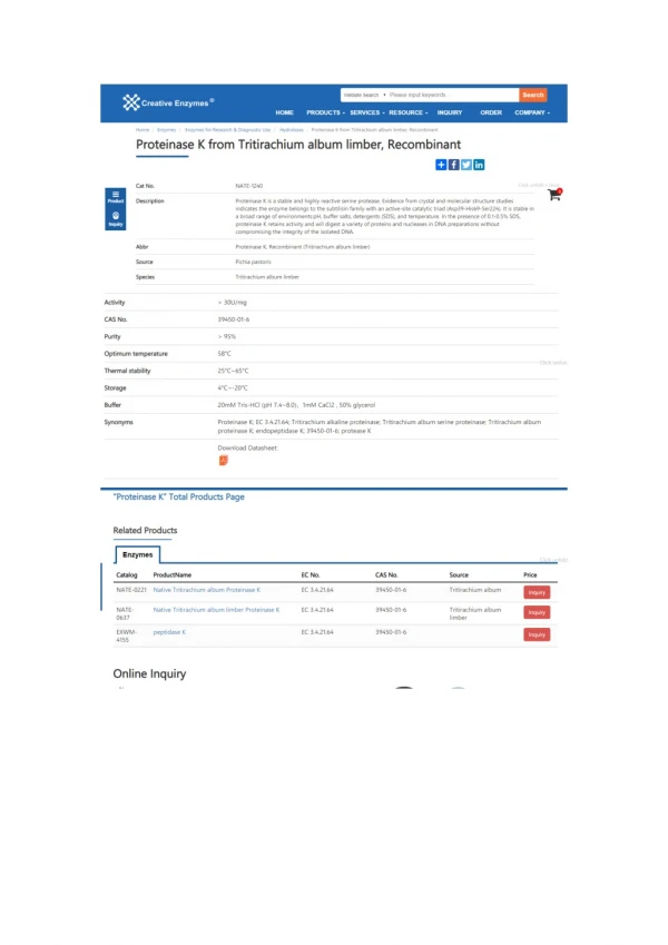 Proteinase K from Tritirachium album limber, Recombinant