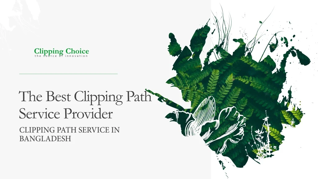 the best clipping path service provider