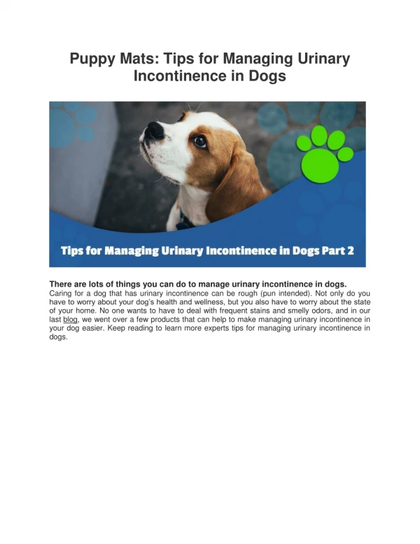 Puppy Mats: Tips for Managing Urinary Incontinence in Dogs | Mednet Direct