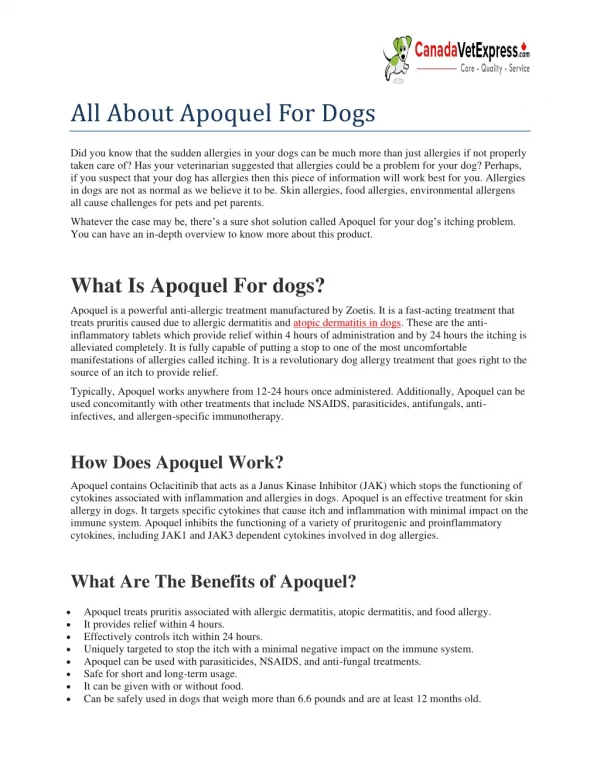 All About Apoquel For Dogs