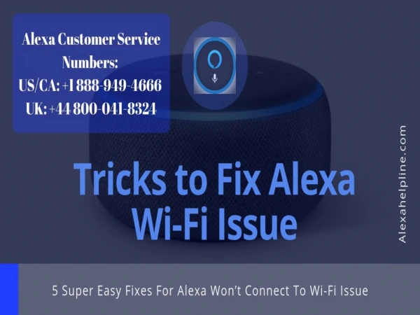 Set up wifi on Alexa Call US 1 888-949-4666 Alexa Helpline Number