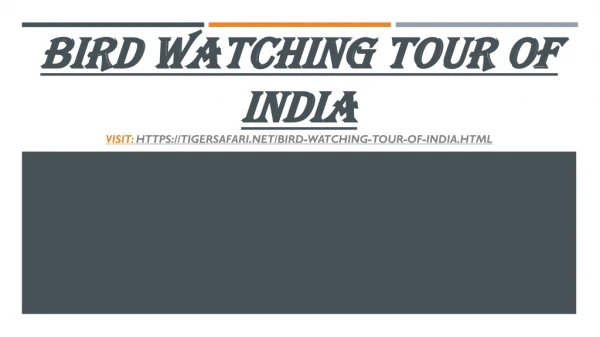 Bird Watching Tour of India