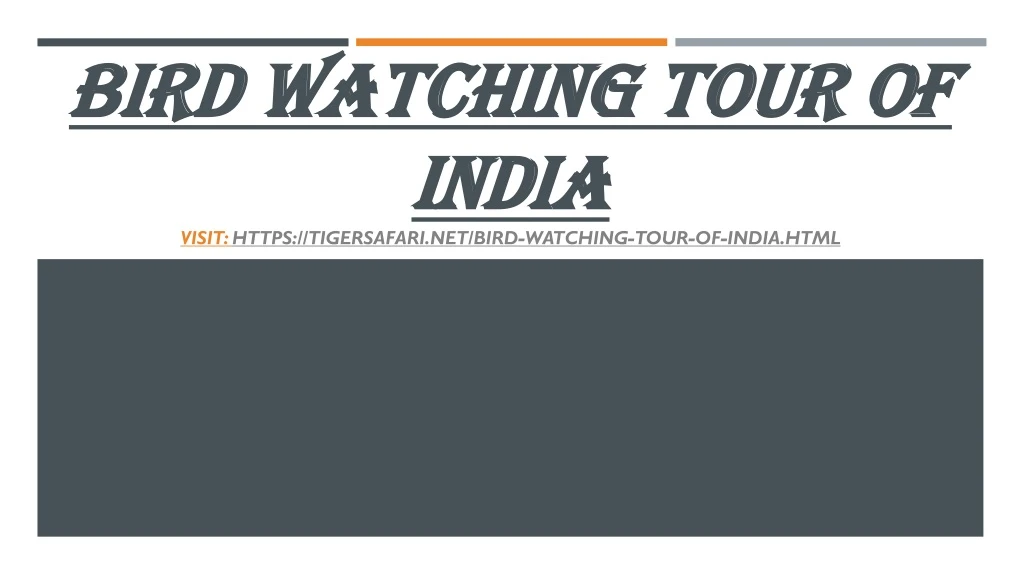 bird watching tour of india