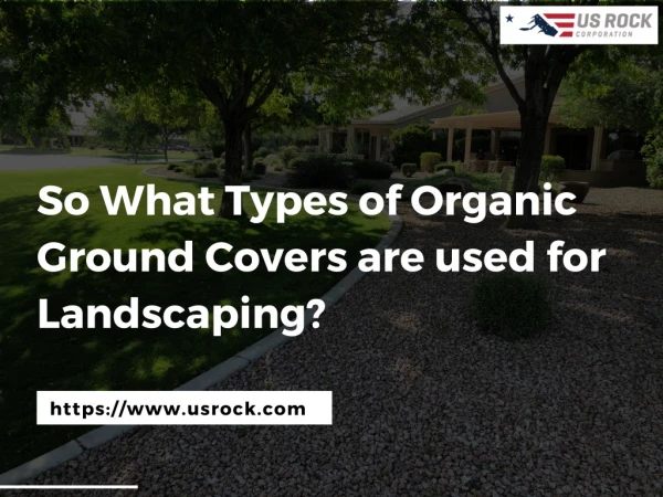 So What Types of Organic Ground Covers are used for Landscaping?