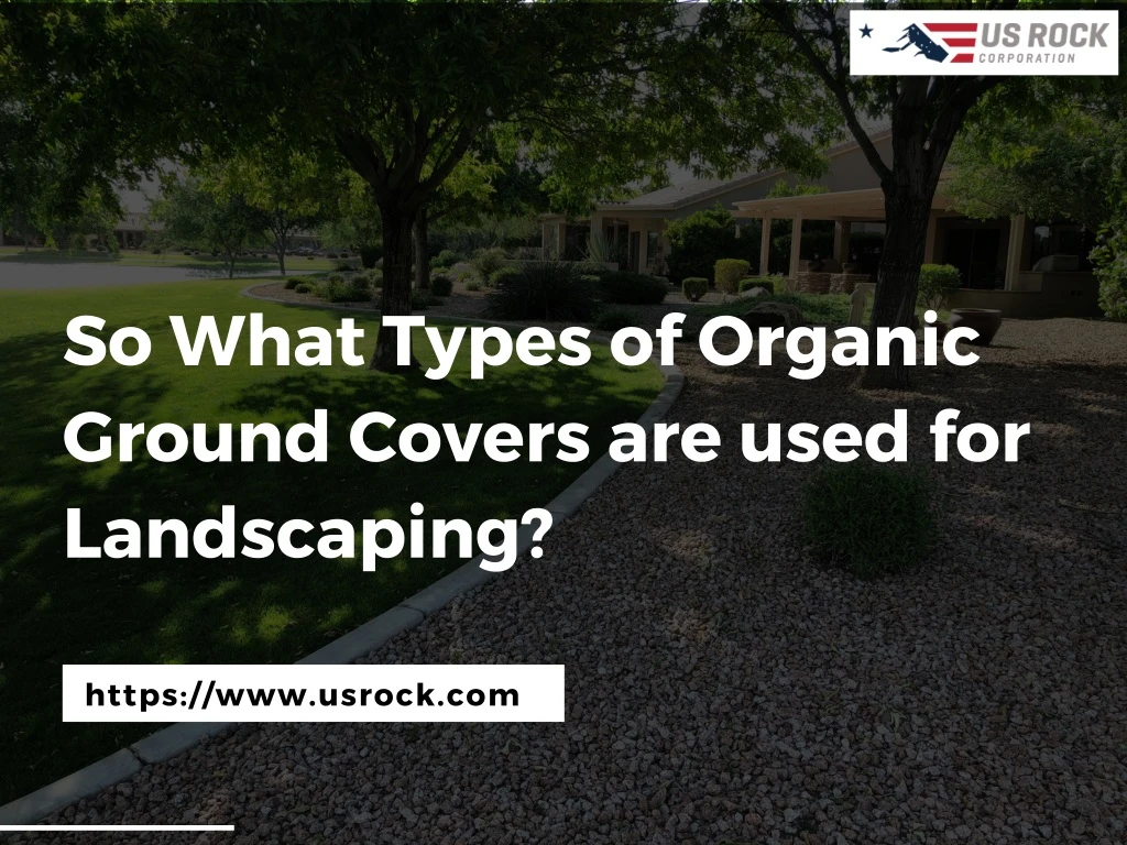 so what types of organic ground covers are used