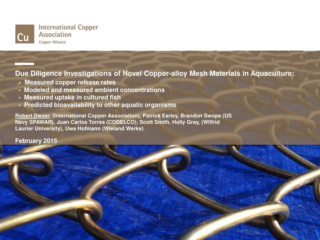 due diligence investigations of novel copper