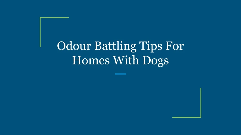 odour battling tips for homes with dogs