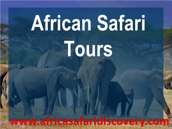 africa tours and safaris