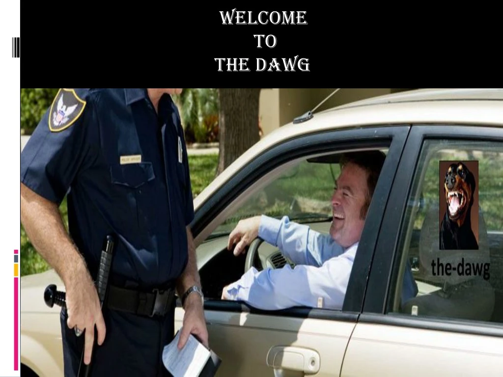 welcome to the dawg