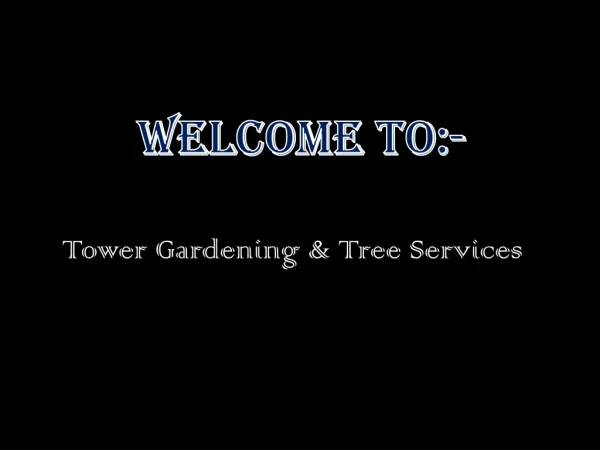 Best tree services in Dublin