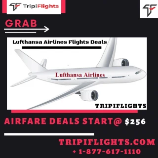 Cheap Lufthansa international flight booking online - slide 1