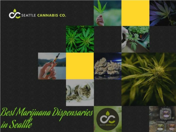 Best Marijuana Dispensaries in Seattle - Seattle Cannabis Co.