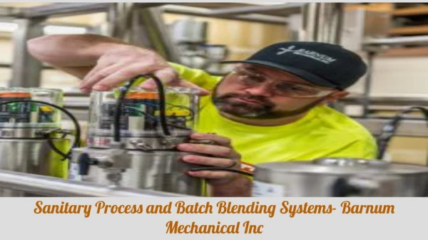 Sanitary Process and Batch Blending System- Barnum Mechanical Inc