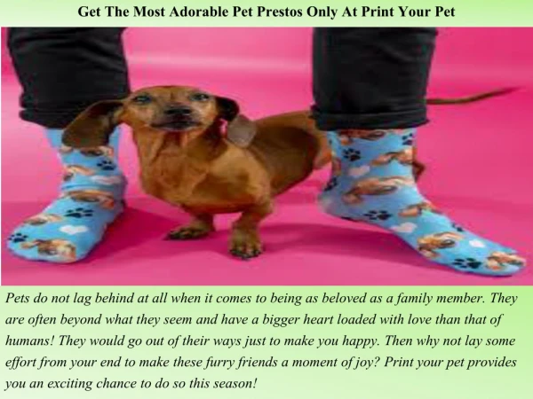 Get The Most Adorable Pet Prestos Only At Print Your Pet