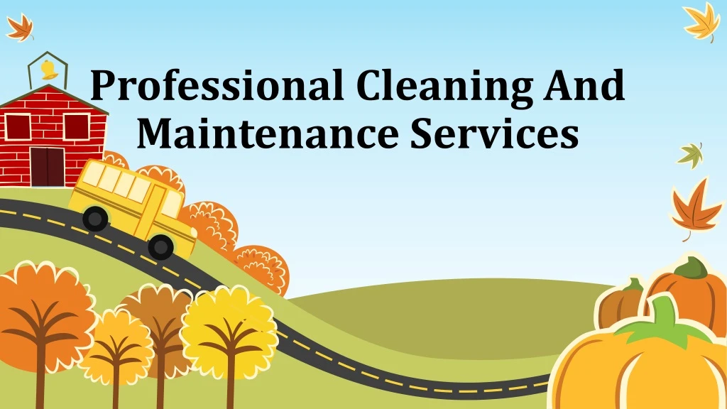professional cleaning and maintenance services