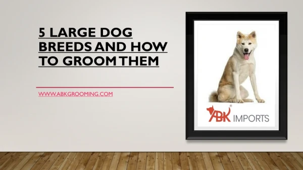 5 LARGE DOG BREEDS AND HOW TO GROOM THEM