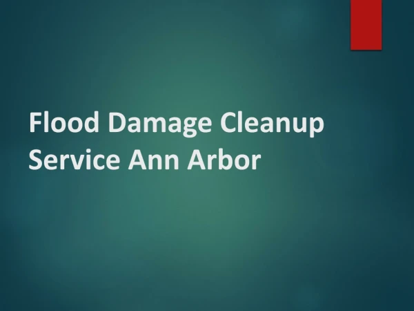 Flood Damage Cleanup Service Ann Arbor