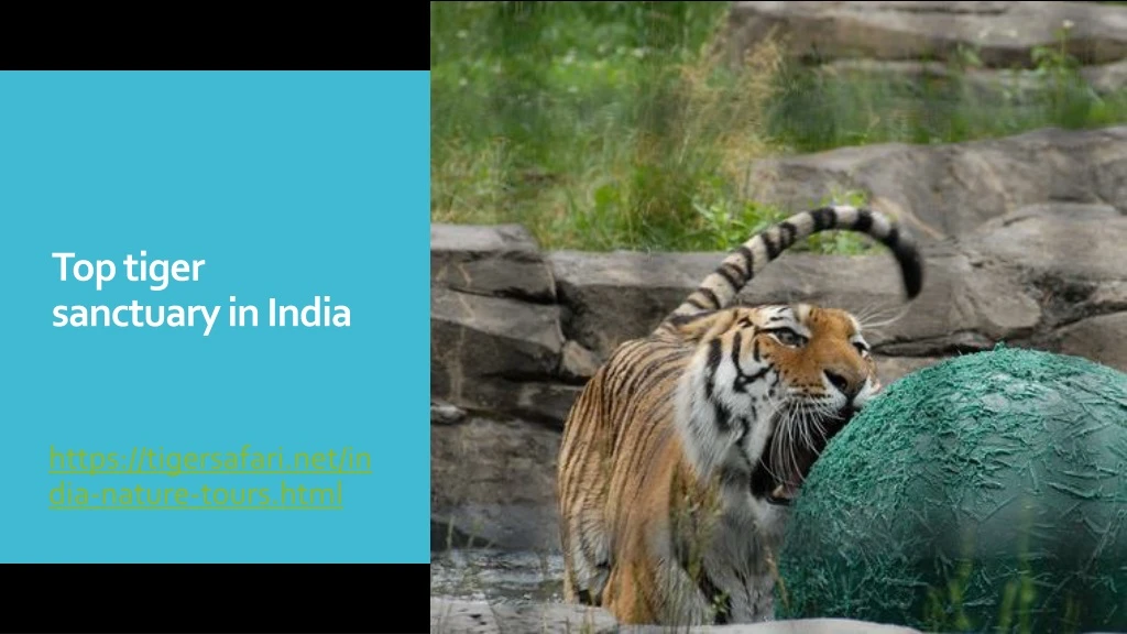 top tiger sanctuary in india