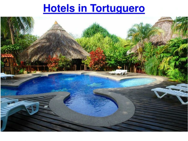 Hotels in Tortuguero