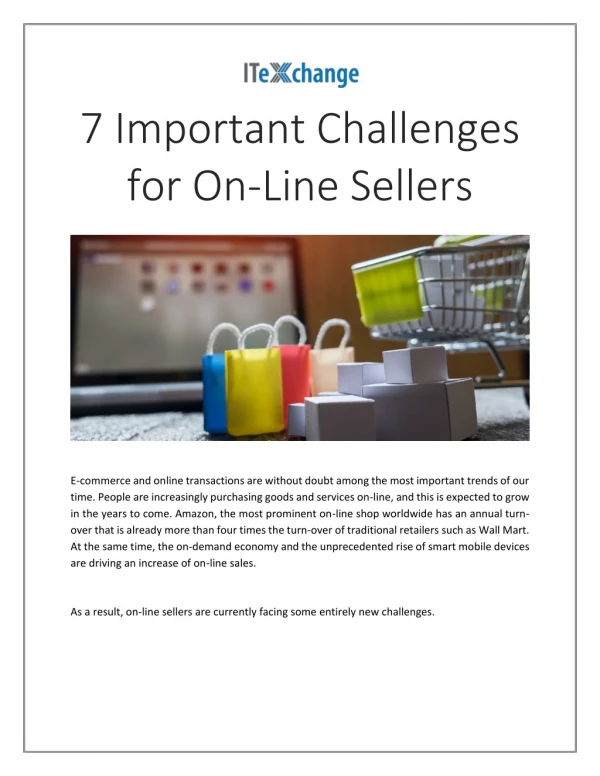 7 Important Challenges for On-Line Sellers