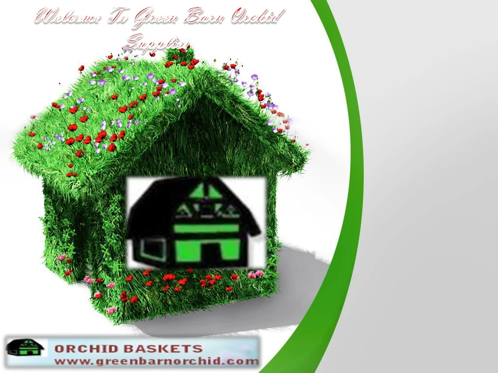 Welcome To Green Barn Orchid Supplies N 