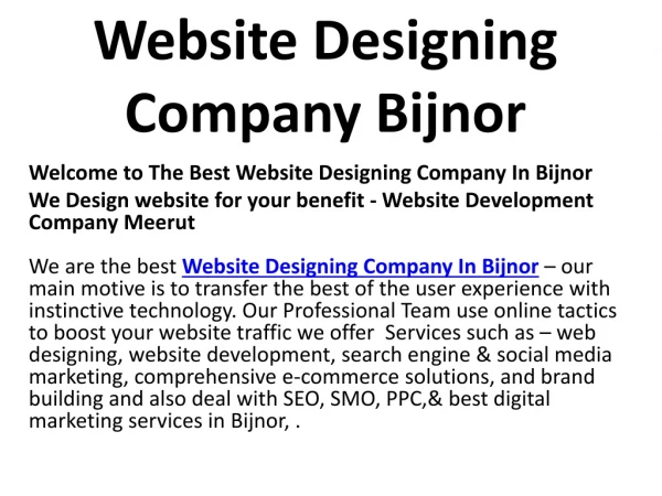 Website Designing Company In Bijnor