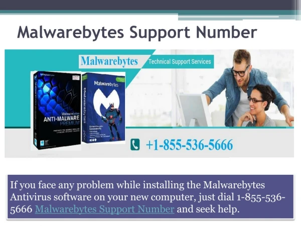 18555365666 McAfee Antivirus Technical Support Phone Number