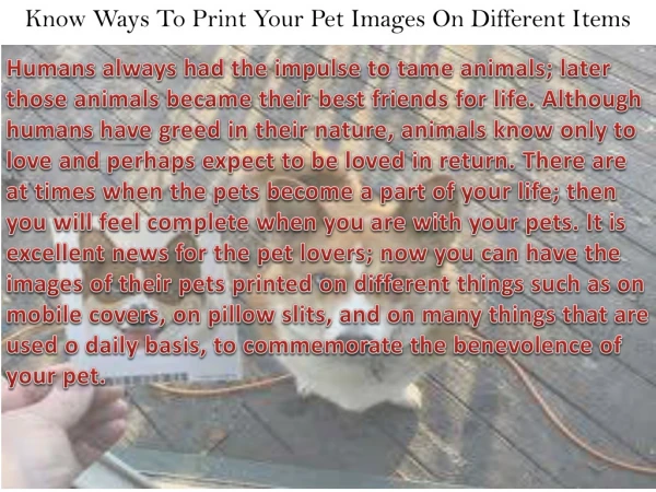 Know Ways To Print Your Pet Images On Different Items