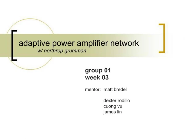 Adaptive power amplifier network w