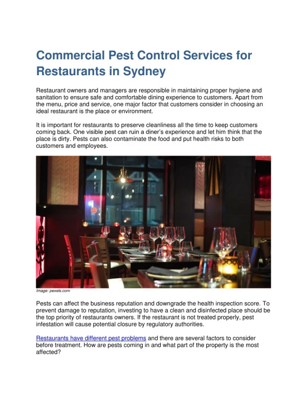 Commercial Pest Control Services for Restaurants in Sydney
