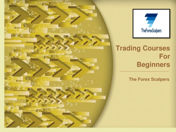 Trading Courses For Beginners - The Forex Scalpers